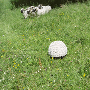 Blacknose - Tabouret en forme de mouton
